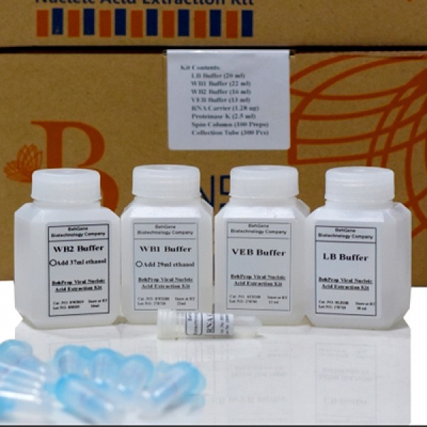 Behgene coronavirus rt-pcr kit | Iran Exports Companies, Services & Products | IREX
